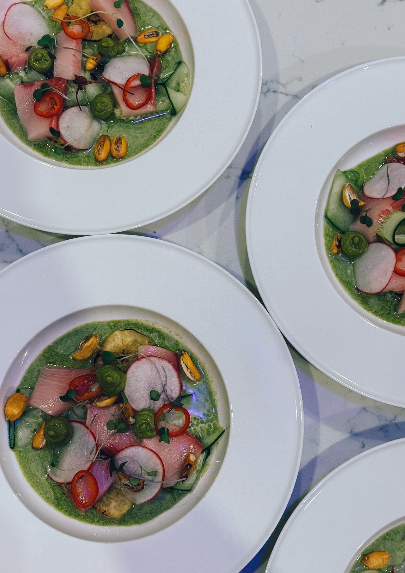 Plated crudo dishes served at a Luma Society dinner